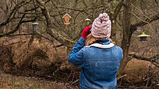 Pta�í hodinka, tradi�ní s�ítání ptactva, se koná od tohoto pátku do ned�le 11....