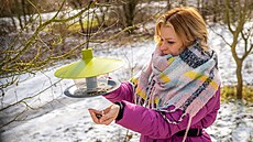 Pták�m mohou lidé v zim� p�ilep�it vhodným krmivem, nap�íklad slune�nicovými...