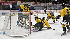 Matej Tomek inkasuje gól.