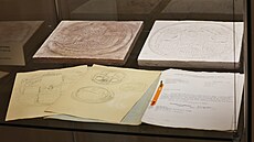 K vid�ní je i p�vodní návrh pam�tní mince opavské nemocnice z roku 1975. ...