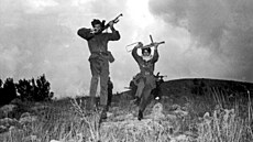 Lajla Chálidová po návratu do své partyzánské základny v Jordánsku (20. �íjna...