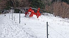 Záchrana mu�e, který se zranil v lese u Huslenek na Vsetínsku. (leden 2026)