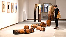 Mezi hlavní projekty Galerie St�edo�eského kraje v roce 2026 bude pat�it...