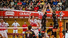 Momentka ze zápasu �eské Bud�jovice - Piacenza
