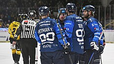 Plze�tí hokejisté slaví gól na litvínovském led�.