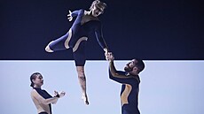 Záb�r z p�edstavení Wolf, které soubor Circa v lét� p�edstaví na festivalu...