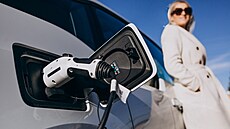 ilustra�ní obrázek