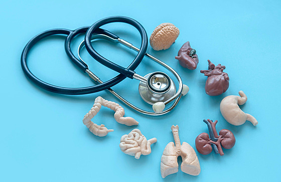 Ilustra�ní fotografie