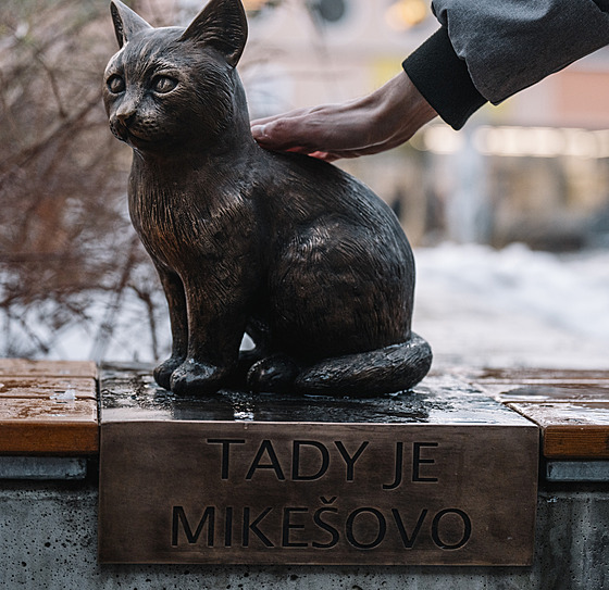 Na Sofijském nám�stí odhalili sochu kocoura Mike�e - populárního maskota...