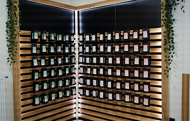 Prostějov zakázal užívání kratomu na veřejnosti. Dokazování ale bude složité