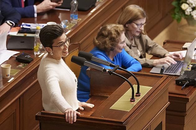 Pirátské sněmovní harakiri aneb Když si poslanci dají hygienickou pauzu rozumu