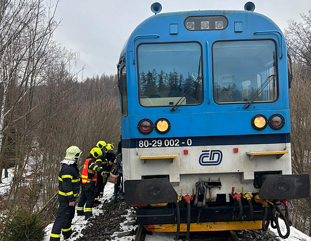Splašený kůň vběhl na Bruntálsku do cesty vlaku, zvíře po střetu uhynulo