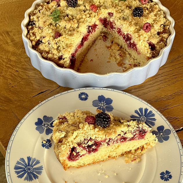 Rychlý litý ovocný koláč s drobenkou podle Anežky Novákové