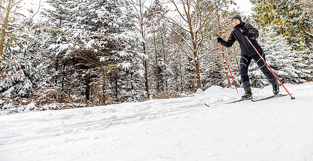 Ráj pro běžkaře v hradeckých lesích. Taková nadílka tu deset let nebyla, jásají