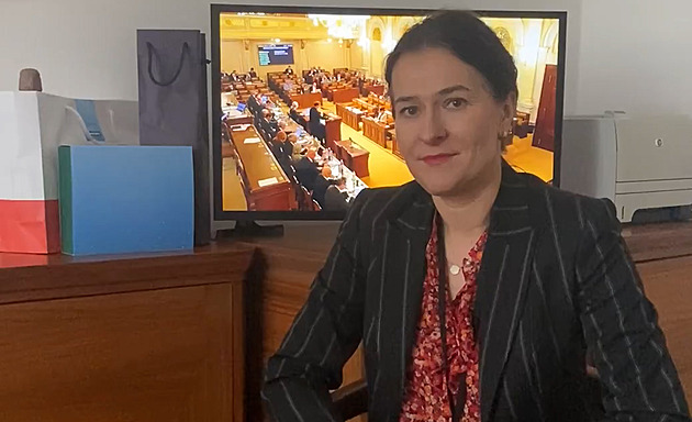 Zůstat poslankyní by se blížilo kolaboraci, politikům jde jen o PR, kritizuje Šichtařová