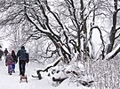 Lidé procházejí kolem zasn�eného stromu na ho�e Feldberg poblí� Frankfurtu....