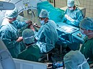 Ve Fakultn� nemocnici Olomouc provedli l�ka�i unik�tn� operaci pacienta...
