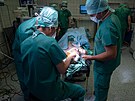Ve Fakultn� nemocnici Olomouc provedli l�ka�i unik�tn� operaci pacienta...