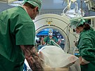 Ve Fakultn� nemocnici Olomouc provedli l�ka�i unik�tn� operaci pacienta...