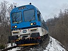 Na Brunt�lsku vb�hl do cesty vlaku spla�en� k��, p�edn� n�prava lokomotivy...