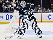 Karel Vejmelka má puk pod kontrolou.