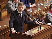 Poslanci v Poslanecké sn�movn� projednávají novelu týkající se pojistného na...