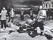 Zajali N�mce. Berlín se u� nedozví, jak bude zítra, americké komando práv�...