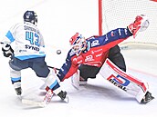 Pardubický gólman Roman Will zasahuje proti libereckému Filipu Sandbergovi.