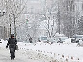 �ena krá�í po zasn�ené ulici v mrazivém zimním ránu v Kyjev�. (15. ledna 2026)