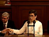 Pirátka Richterová kritizuje poradce ministra Juchelky Gregora