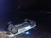 Zásah policist� a kolemjdoucích u Tryl�ova jezu v �eských Bud�jovicích, kde se...