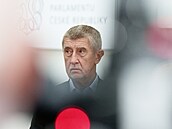 Venezuela propustila z v�zení �echa Jana Darmovzala. Tisková konference...