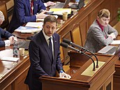 Sch�ze Poslanecké sn�movny. Vyslovení d�v�ry vlád�. Na snímku Vít Raku�an...