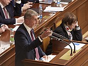 Sch�ze Poslanecké sn�movny. Na snímku premiér Andrej Babi� (ANO). (13. ledna...