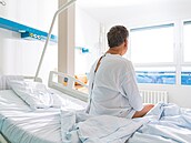 ilustra�ní snímek