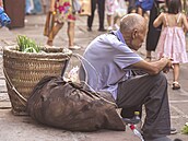 �ína d�chodce starý mu� ulice senior