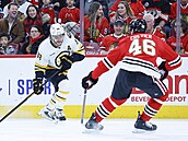 David Pastr�ák z Bostonu vede puk v zápase proti Chicagu.