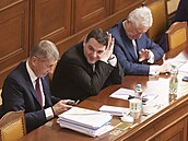 Premiér Andrej Babi� a ministr zahrani�í Petr Macinka p�ed hlasováním o d�v��e...