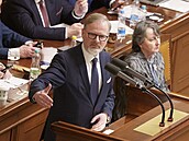 Bývalý premiér a p�edseda ODS Petr Fiala ve Sn�movn� p�ed hlasováním o d�v��e...