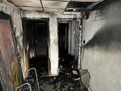 Po�ár bytovky v Horom��icích. Hasi�i z domu zachránili 25 lidí. (12. ledna 2026)