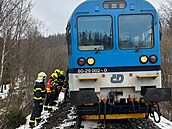 Na Bruntálsku vb�hl do cesty vlaku spla�ený k��, p�ední náprava lokomotivy...