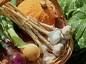 Prima TV, Zahradnice po ruce, sob�sta�nost, 10 ned�le�it�j�ích plodin