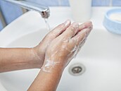 Ilustra�ní fotografie