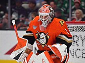 Luká� Dostál v brán� Anaheim Ducks