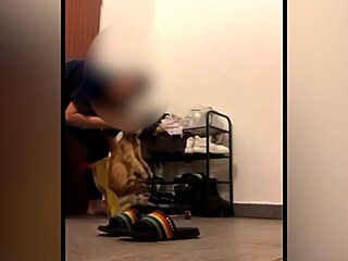 Dívka brutáln� týrala ko�ku. Pochlubila se tím na sociální síti