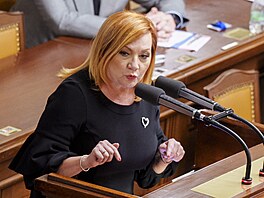 Poslanci v Poslanecké sn�movn� projednávají novelu týkající se pojistného na...