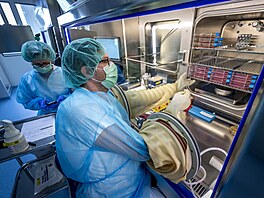 Laborato� na výrobu k��e v centru bun��né produkce Univerzitní nemocnice...