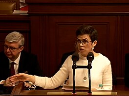 Pirátka Richterová kritizuje poradce ministra Juchelky Gregora