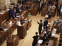 Sch�ze Poslanecké sn�movny. Vyslovení d�v�ry vlád�. Na snímku Olga Richterová...