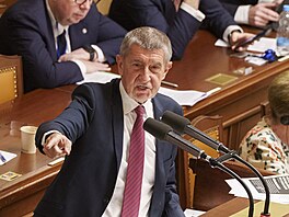 Sch�ze Poslanecké sn�movny. Vyslovení d�v�ry vlád�. Projednání písemné...